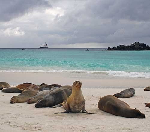 Travel: The Galapagos | Town&Style