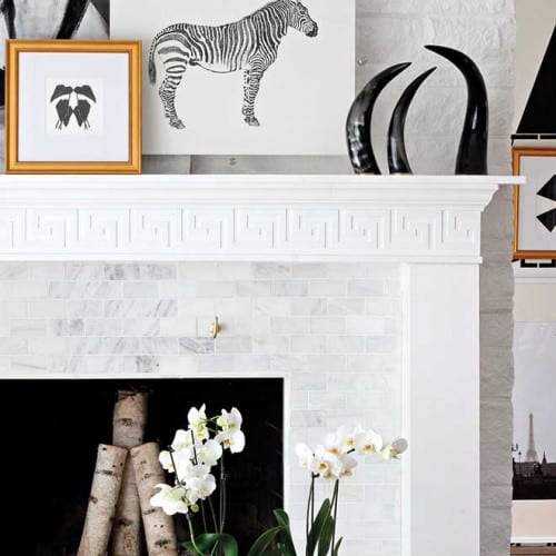 Animal Instincts | Town&Style