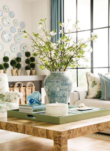 ScoutNimble-5_9-18-24